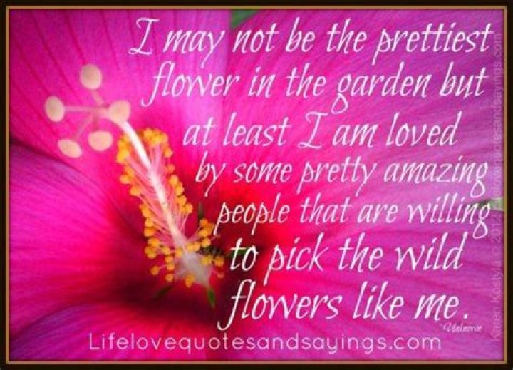 A Journey Through "I May Not Be The Prettiest" Quotes