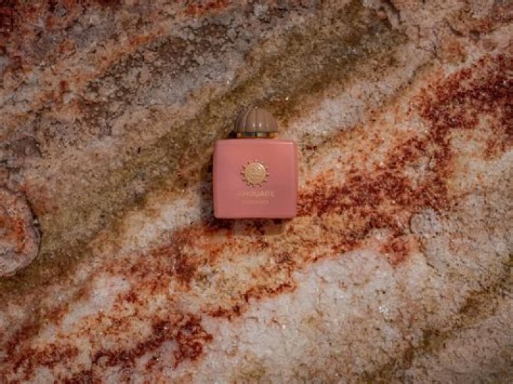 Beyond the Headlines: A Deep Dive into Fatherhood, Identity, and the Search for Paternal Roots