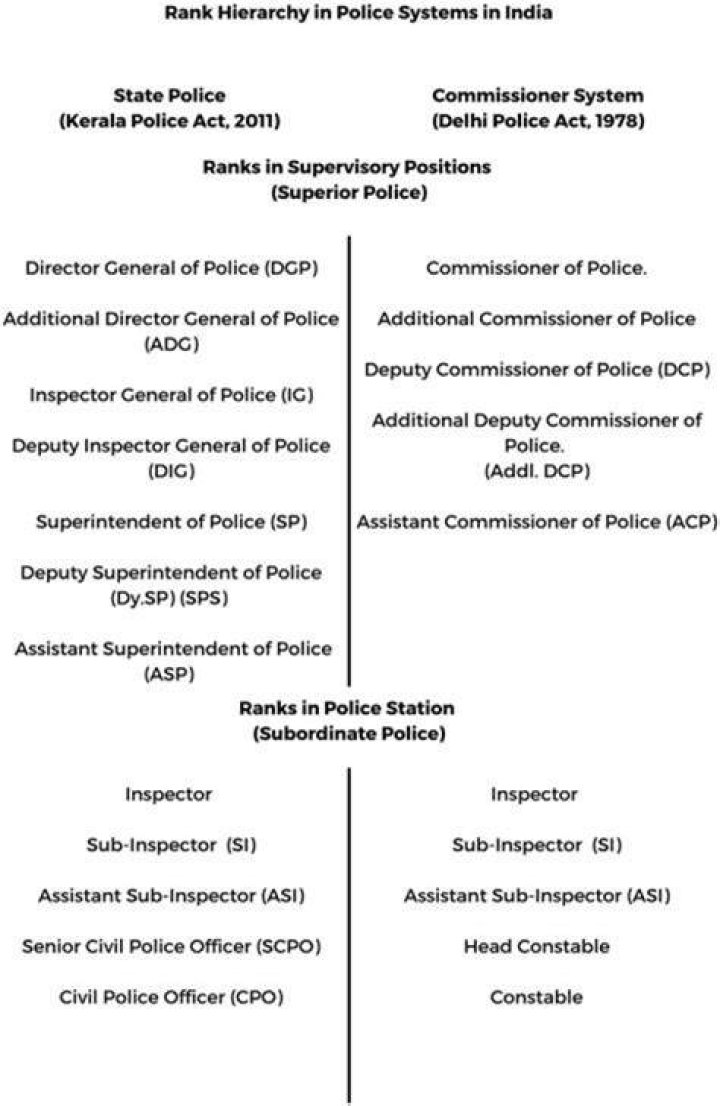 Demystified: Police Rank Structure And Progression - Insight Horizon