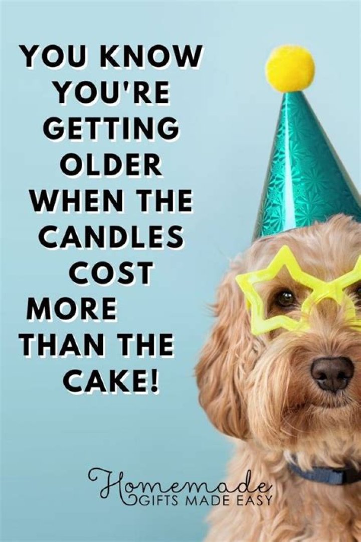 Discover Hilarious Birthday Wishes For Men