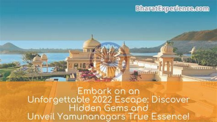 Discover Insights And Unveil Hidden Gems