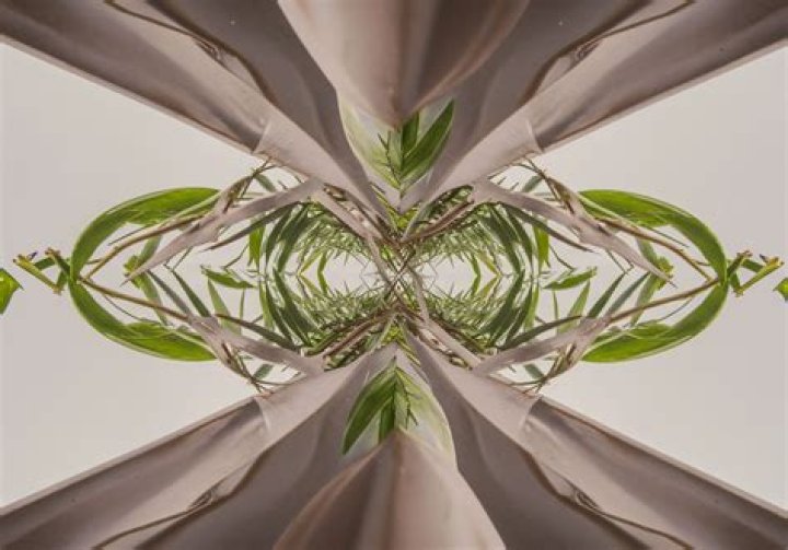 Discover Meaning, Variations, And Inspiration