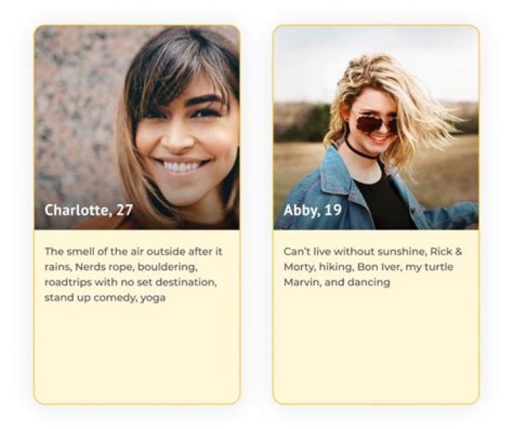 Discover The Art Of Crafting Irresistible Bumble Profiles For Women Over 40
