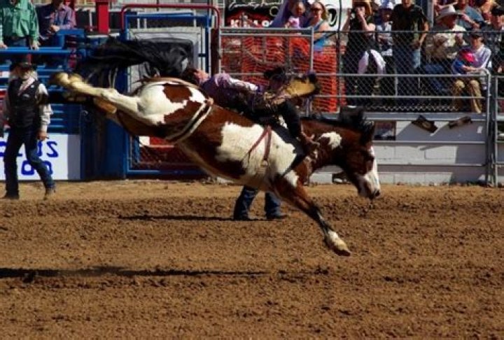 Discover The Thrills Of PRCA Rodeo Spokane