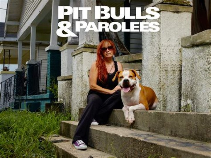 Discover The Transformative Power Of "Moe Pitbulls & Parolees"