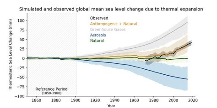 Discoveries And Insights Into The "Hot Hot Brunette" Phenomenon