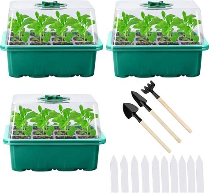 Essential Discoveries For Green Thumbs