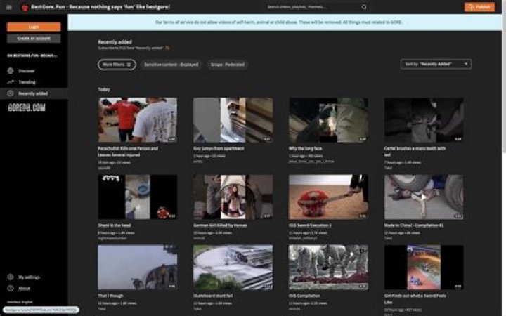 Exploring Gore Websites: Alternatives & What You Need to Know