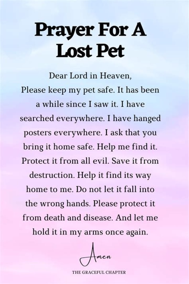Prayers For The Safe Return Of Your Beloved Pet