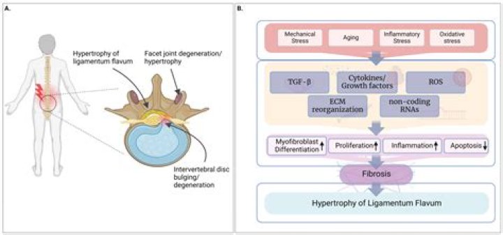 Uncovering Secrets And Empowering Transformations