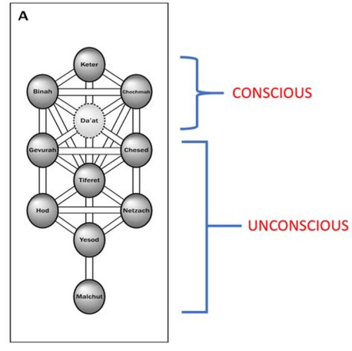 Uncovering The Enigma Of His Sexuality