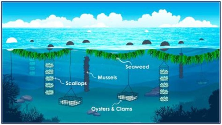 Unleashing The Power Of "senb Beloit": Discoveries And Insights
