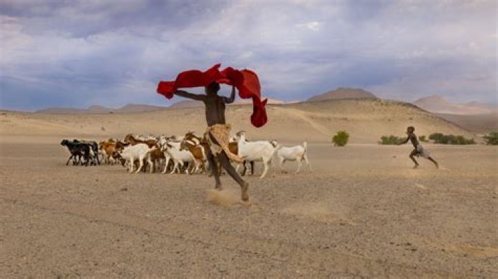 Unveiling Teghan Skiba's Captivating Lens: Discoveries And Insights