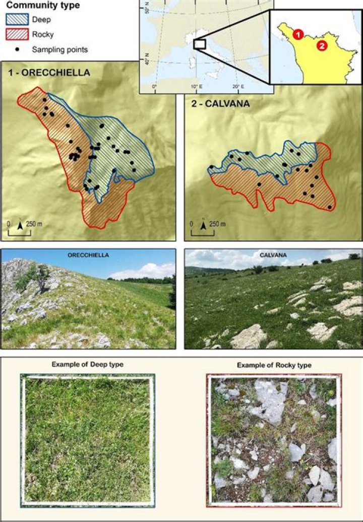 Unveiling The Enigmatic World Of Candi Calvana Smith: Discoveries And Insights Await