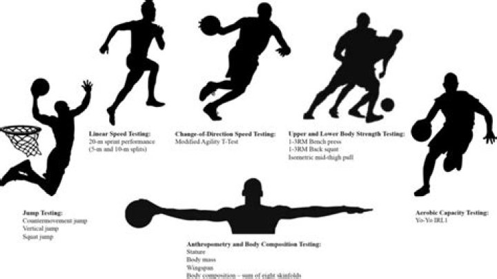Unveiling The Physical Attributes Of Basketball Star Teddy Van Ee: Height And Weight Explored