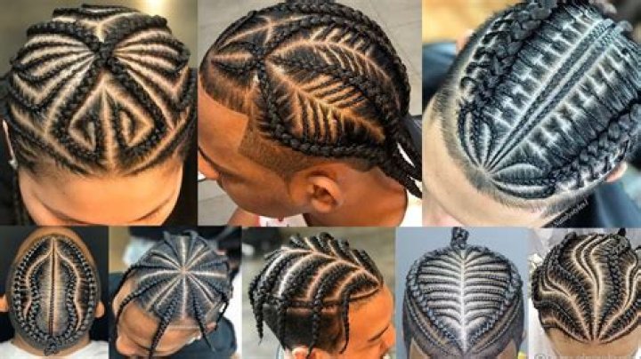 Unveiling The World Of Plats Men Hair: Discoveries And Insights