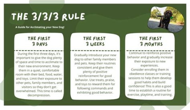 What is the 3-3-3 Rule for Marriage? A Simple Guide to Stronger Connections