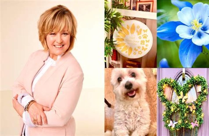 Your Ultimate QVC Shopping Guide